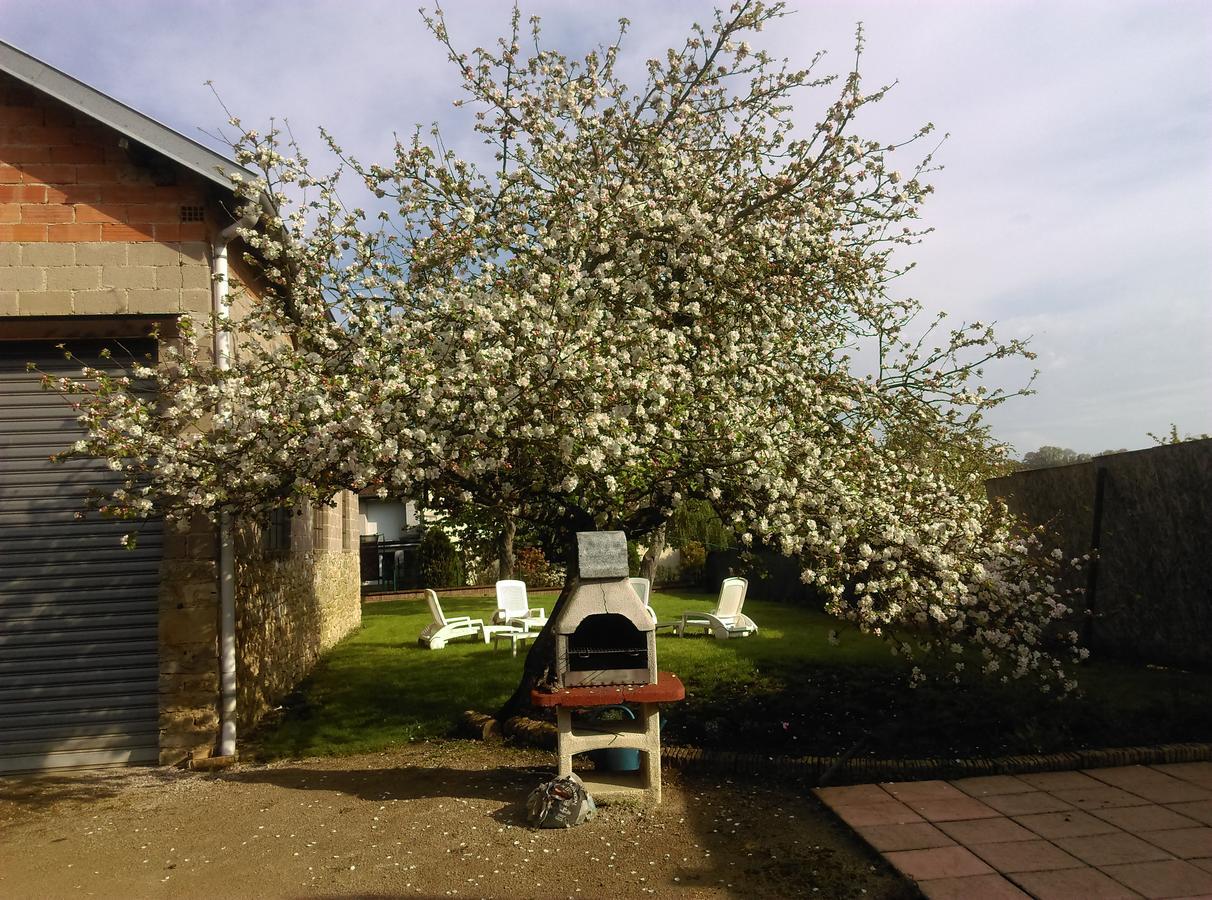 Appartement Aux 3 Loups à Châtenois Extérieur photo